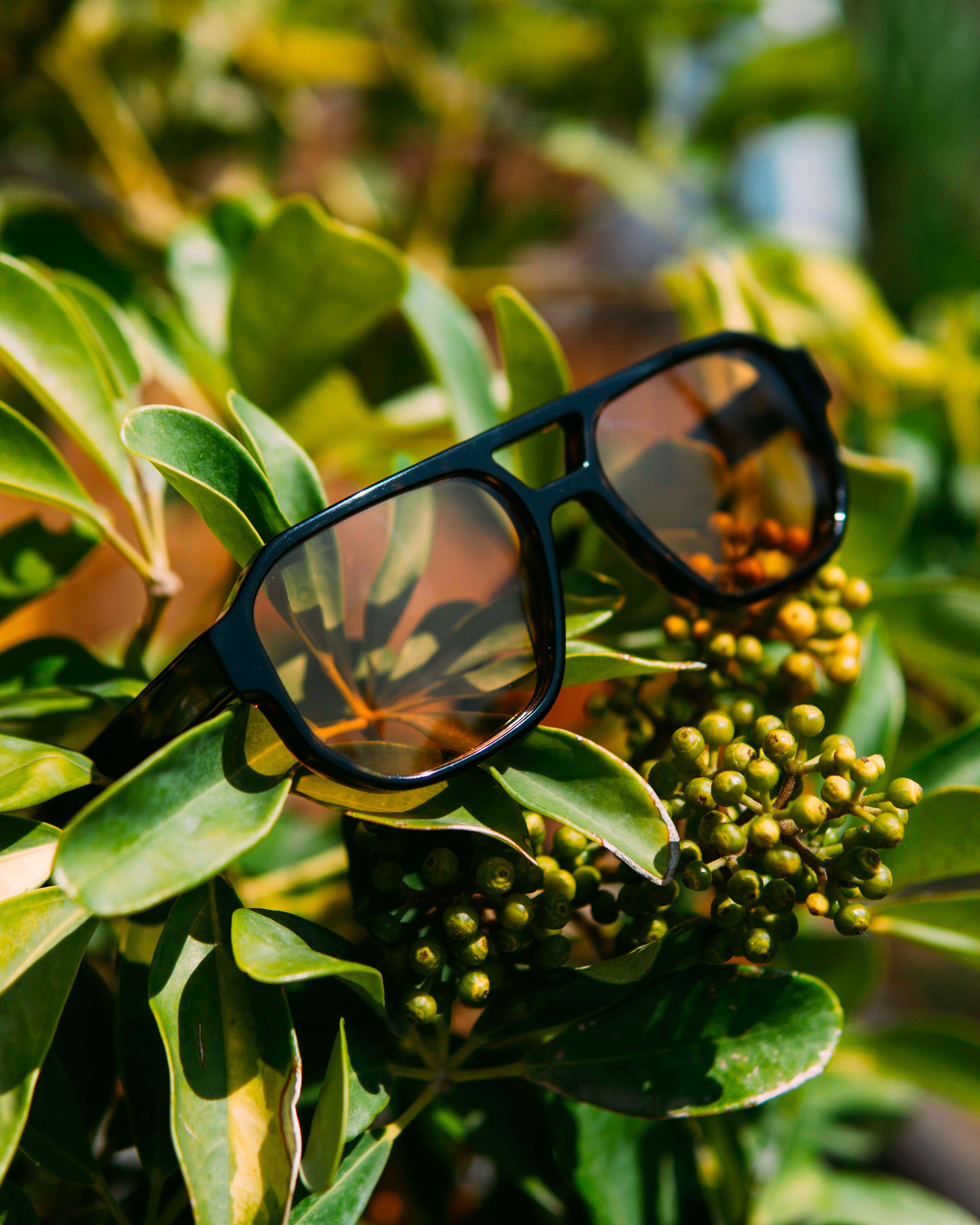 After - Product Photography Enhancement